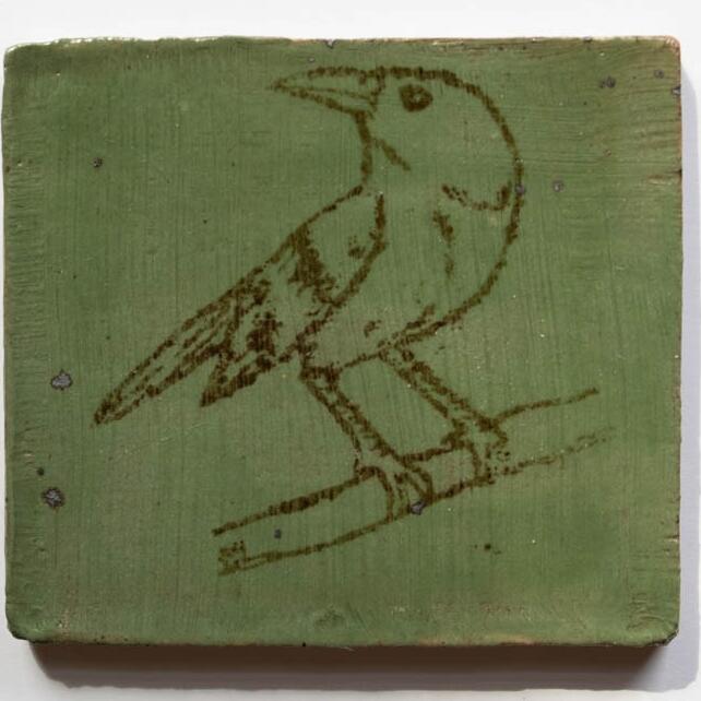 Picture of Michael Gullotto | Table 17 Northern Mockingbird