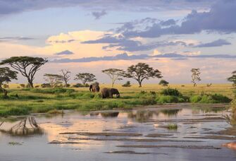 The Definitive Tanzania Honeymoon Guide