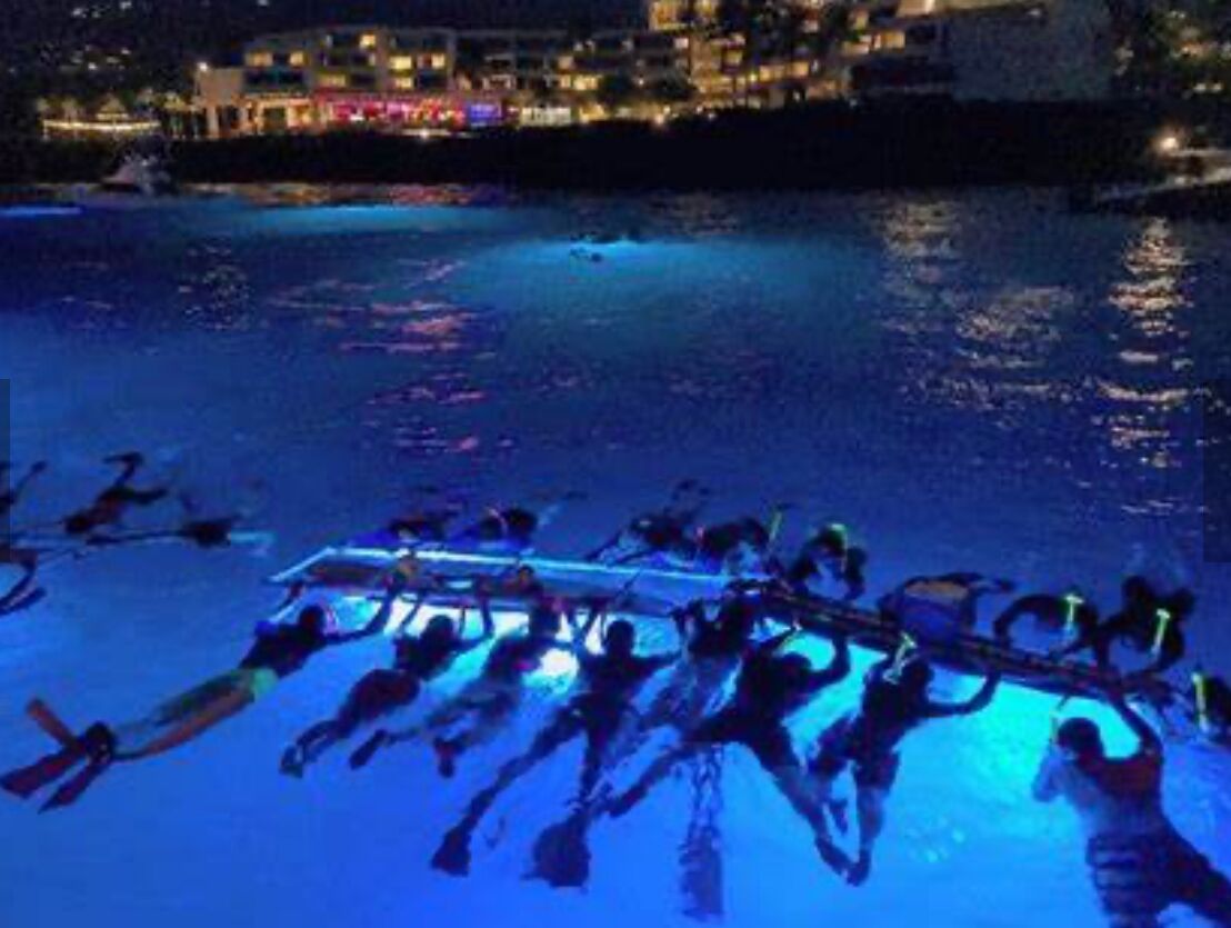 Picture of Night Time Swim With Manta Rays-Kona