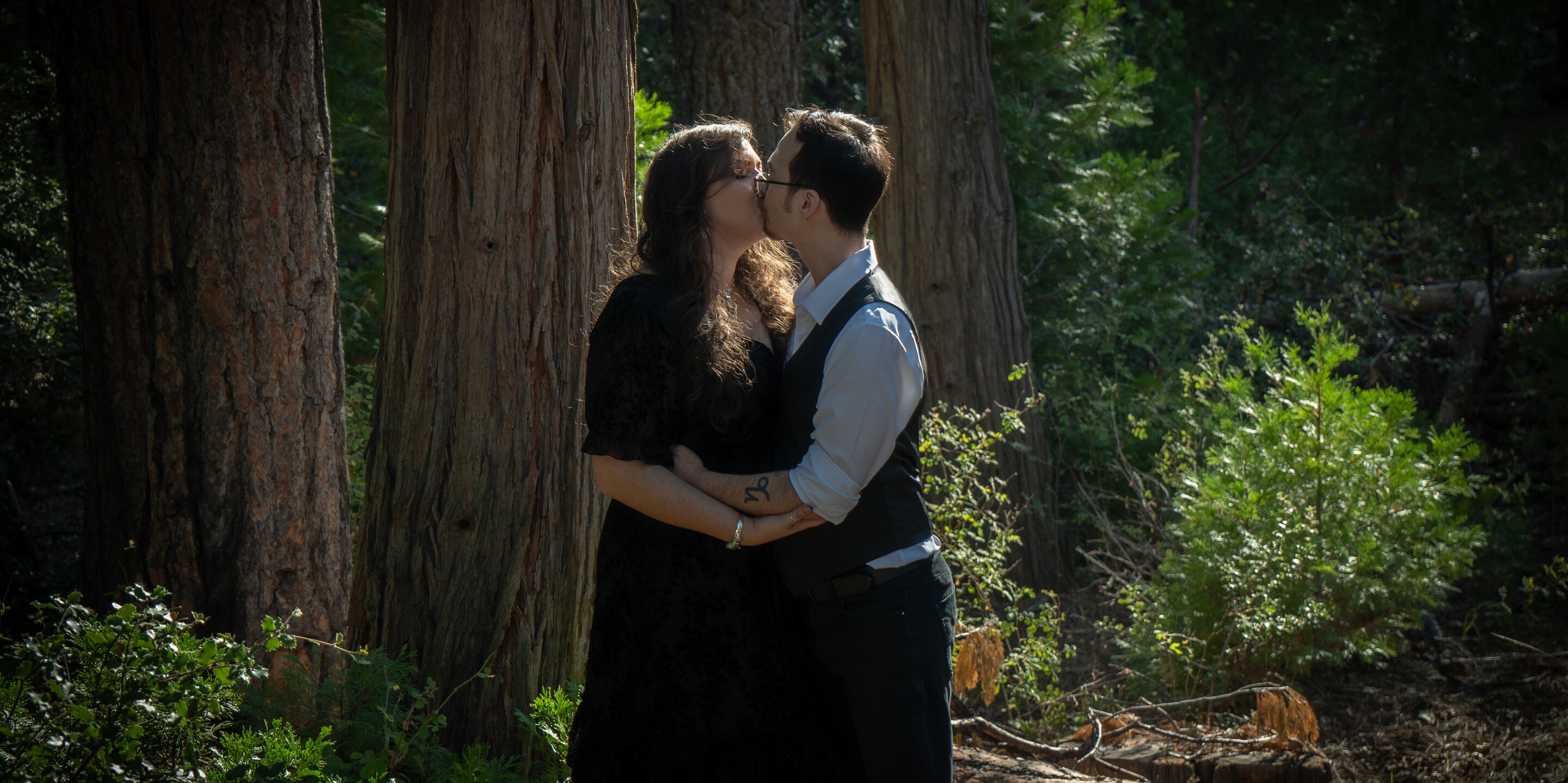 Veronica & Greg Home Page Banner
