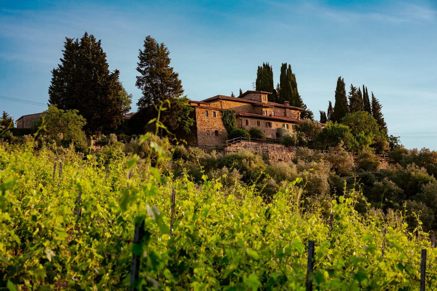 Picture of Quercia Al Poggio