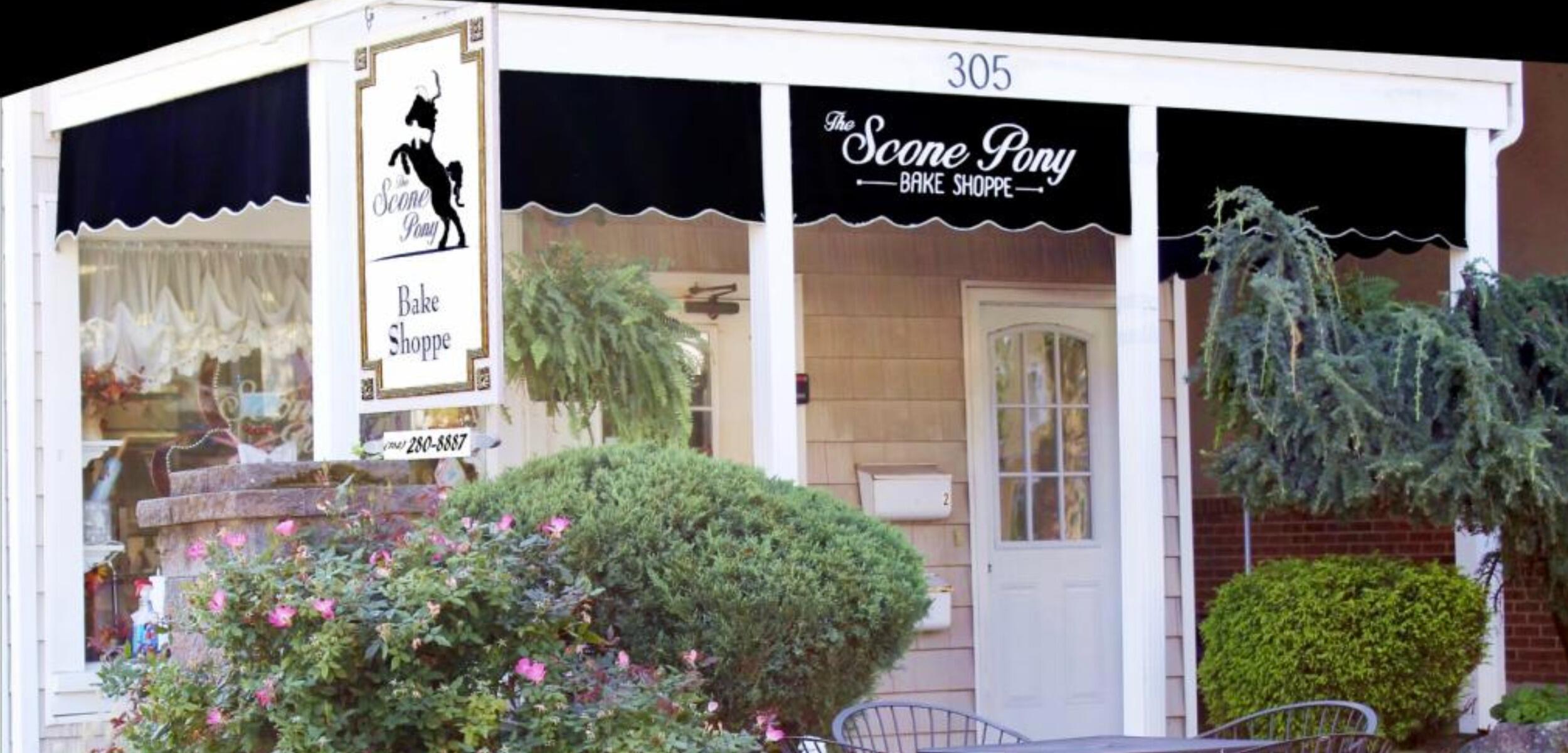Picture of Scone Pony