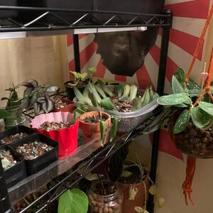 Gallery Photo 1