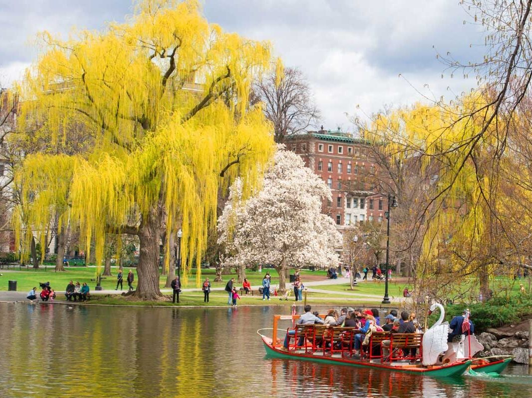 Picture of Public Garden