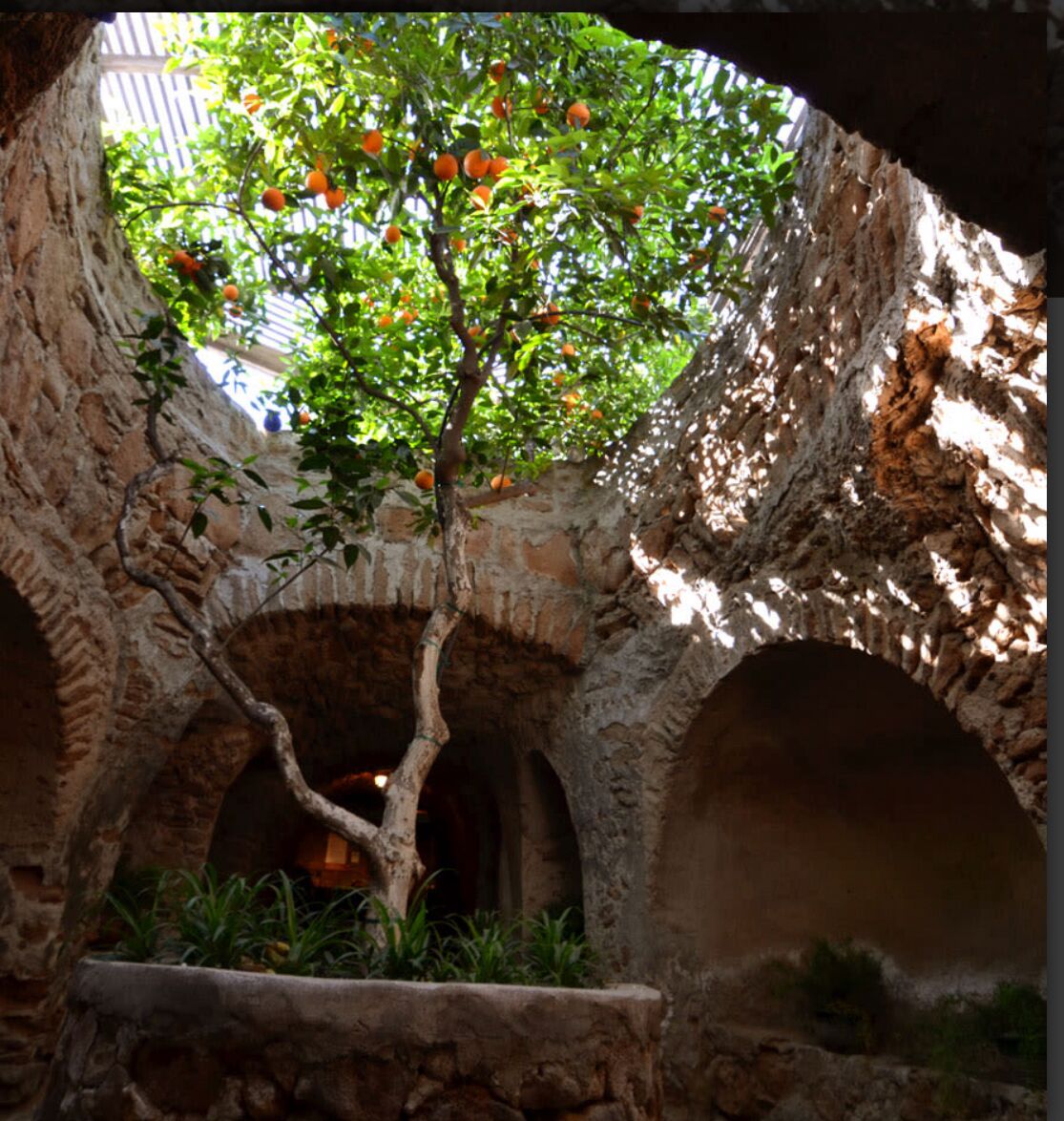 Picture of Forestiere Underground Gardens 