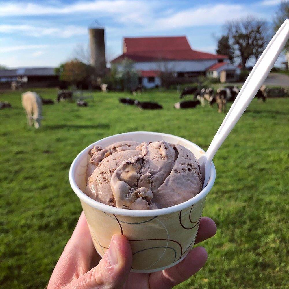 Picture of Milky Way Farm