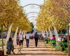 Picture of Klyde Warren Park 
