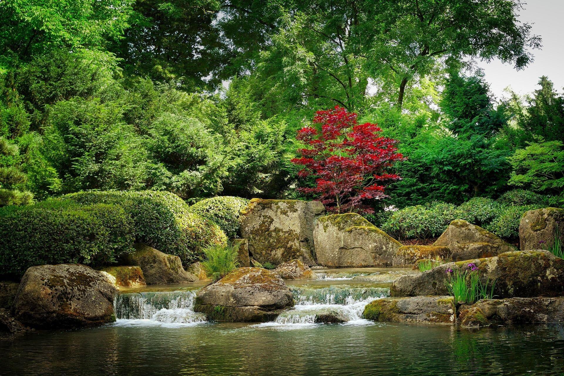 Picture of Bellevue Botanical Garden