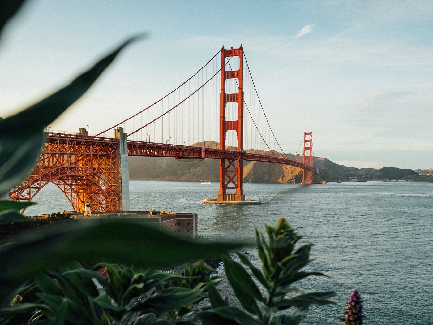 Picture of Visit San Francisco