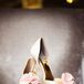 Classic Gold Badgley Mischka Shoes with Blush Roses