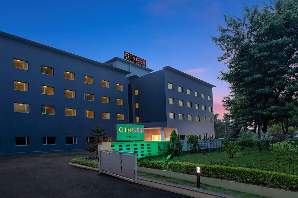 Picture of Ginger Bhubaneshwar