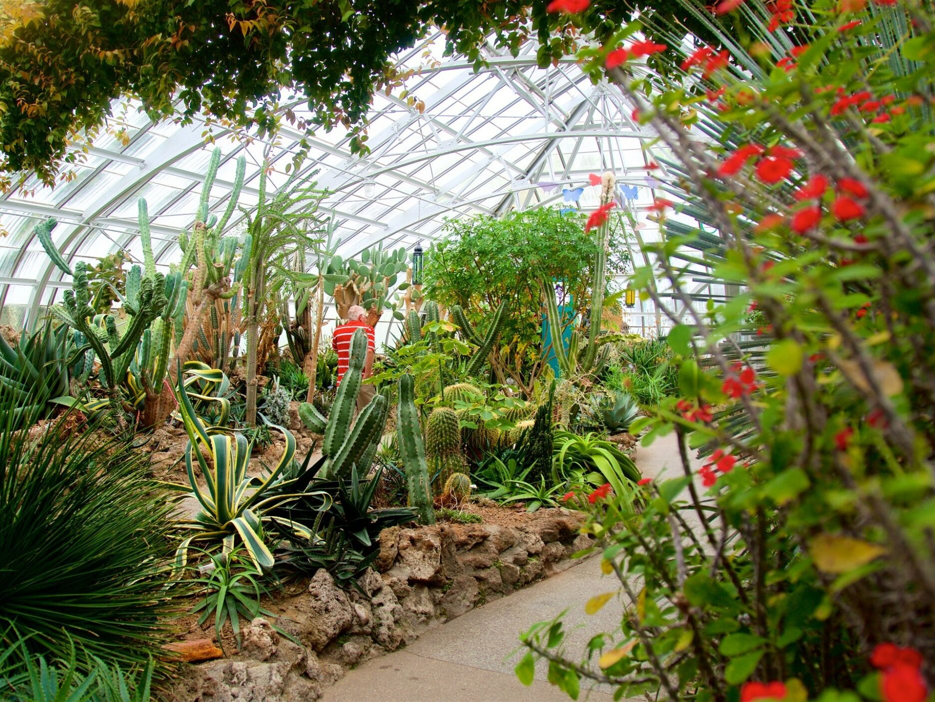 Picture of Krohn Conservatory