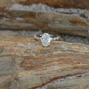 Gallery Photo 34