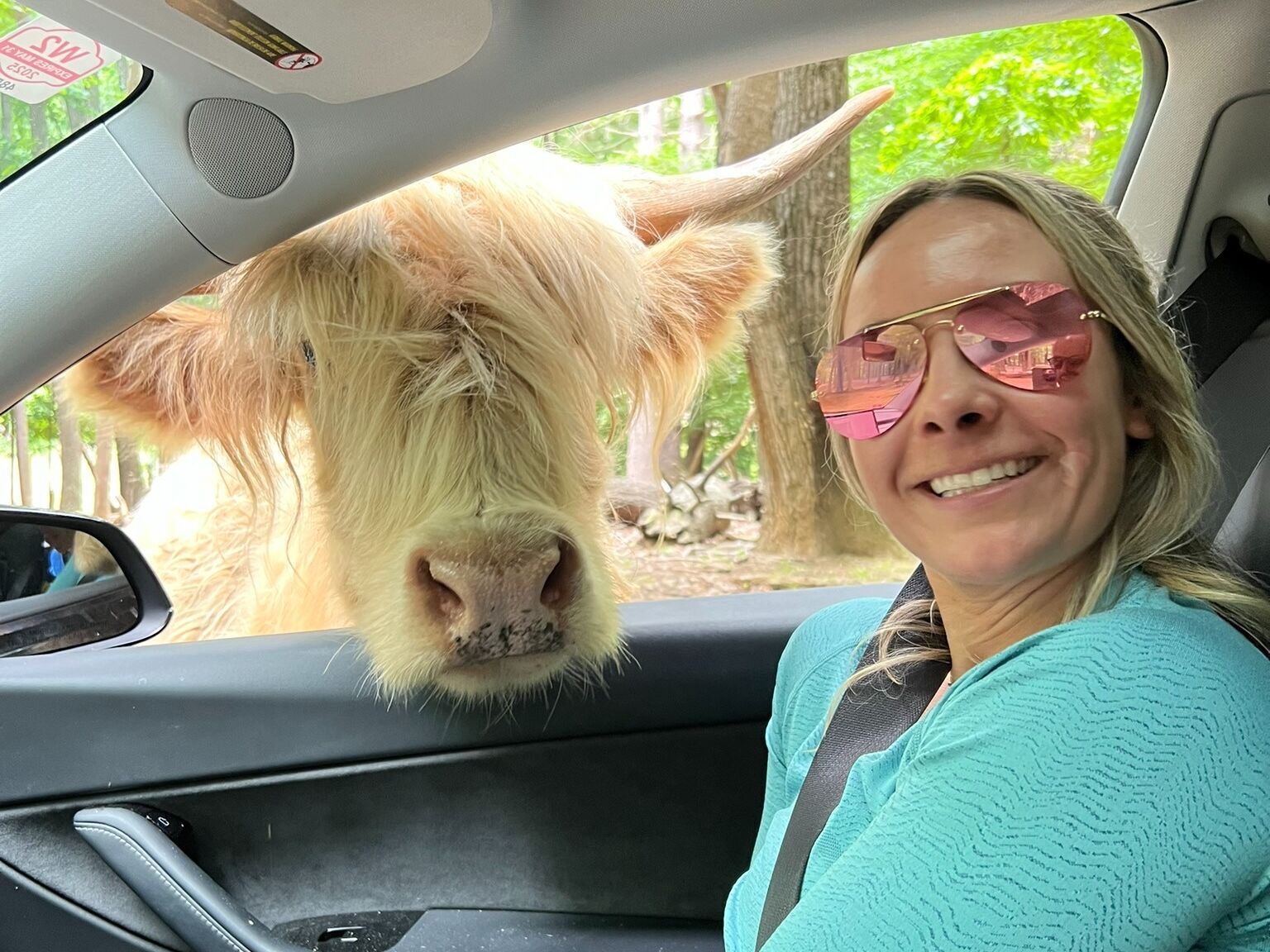 Picture of Virginia Safari Park