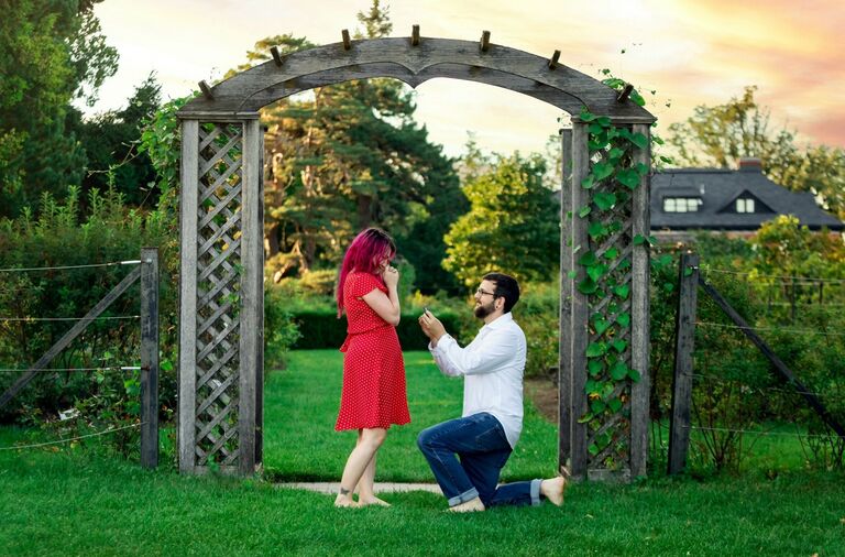 Stephanie & Alexander  Home Page Banner