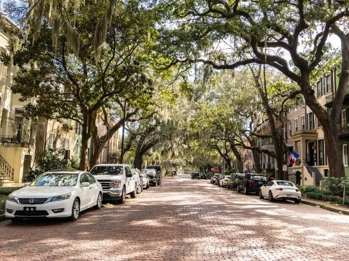 Picture of Walking Jones Street