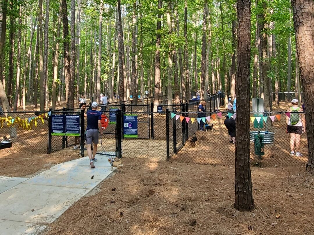 Picture of Piney Wood Dog Park