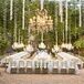 Lush hanging vines, orchids and chandeliers mixed with white linens and gold chiavari chairs made for a sophisticated reception setting.