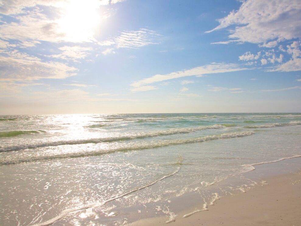 Picture of Siesta Key Beach
