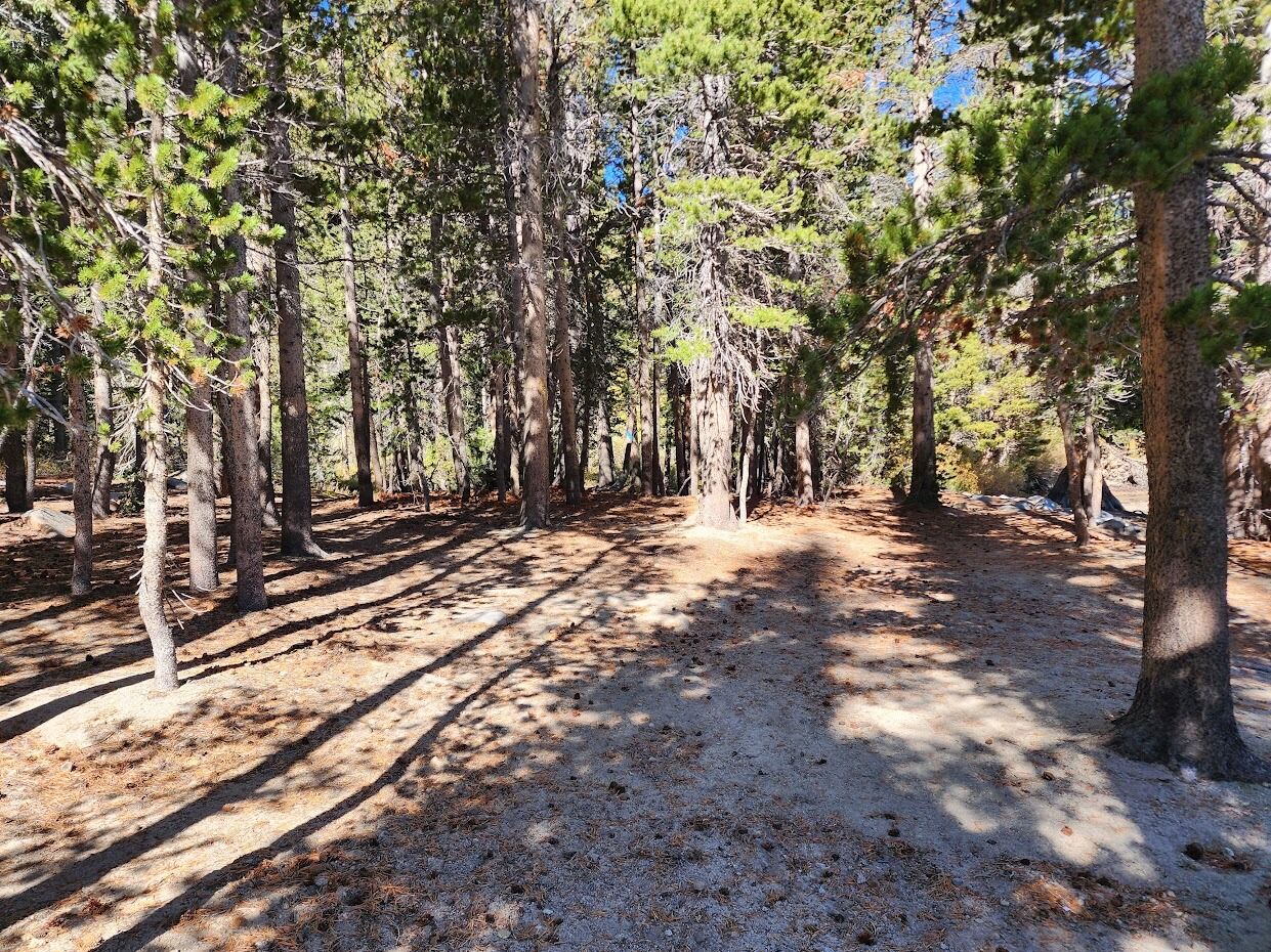 Picture of On-Site Camping Option