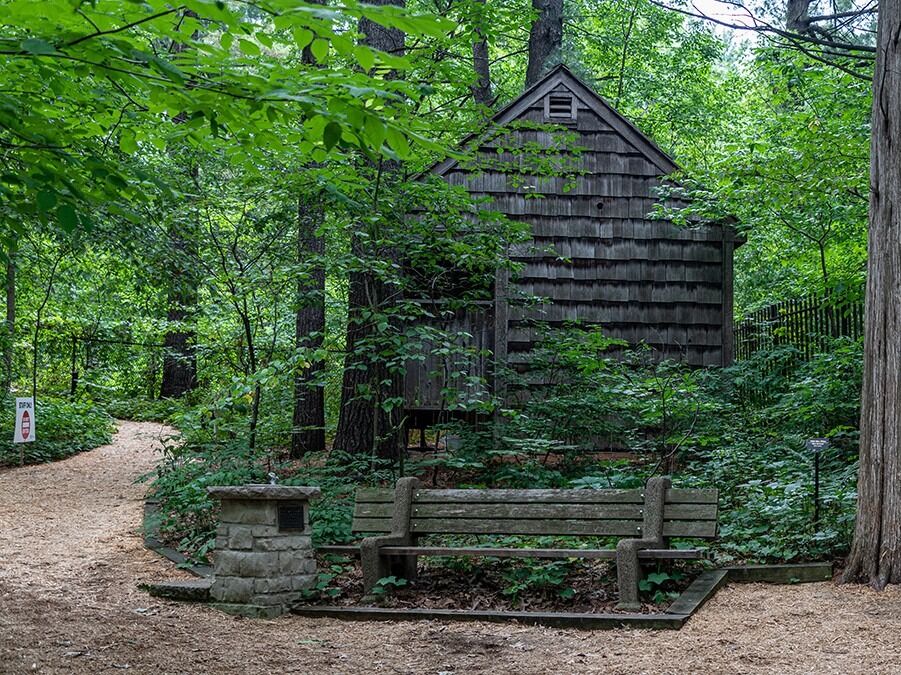 Picture of Eloise Butler Wildflower Garden and Bird Sanctuary