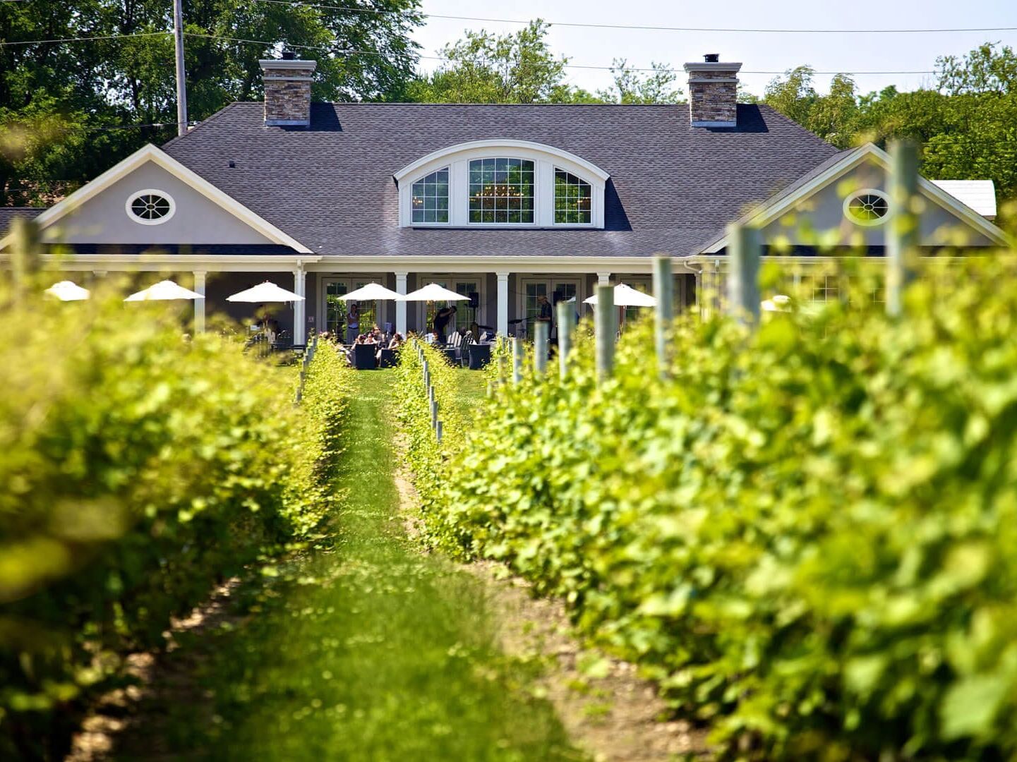 Picture of Long Island Wine Region
