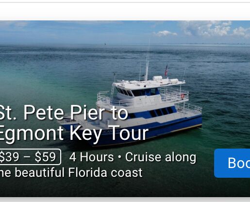 Picture of St  Pete Pier To  Egmont Key Tour