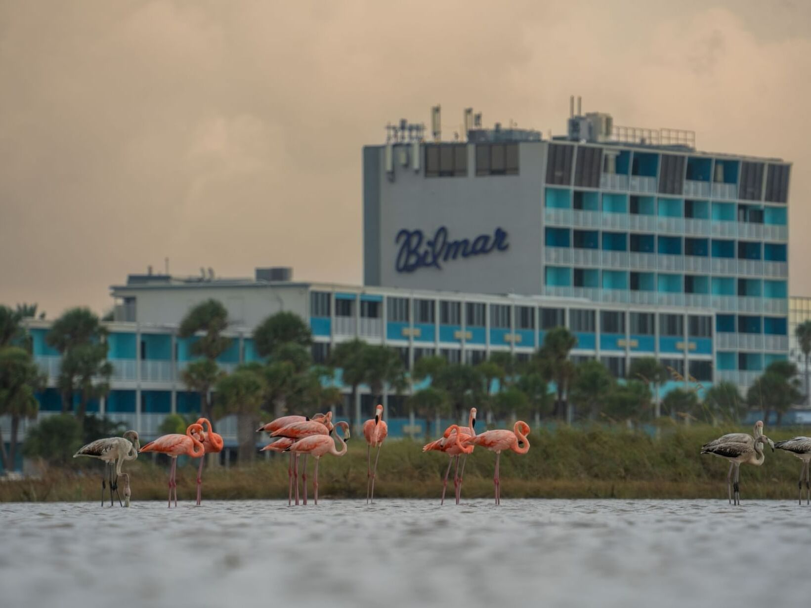 Picture of The Bilmar Beach Resort