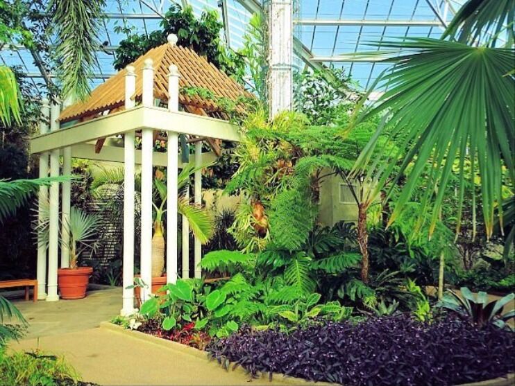 Picture of Daniel Stowe Botanical Garden
