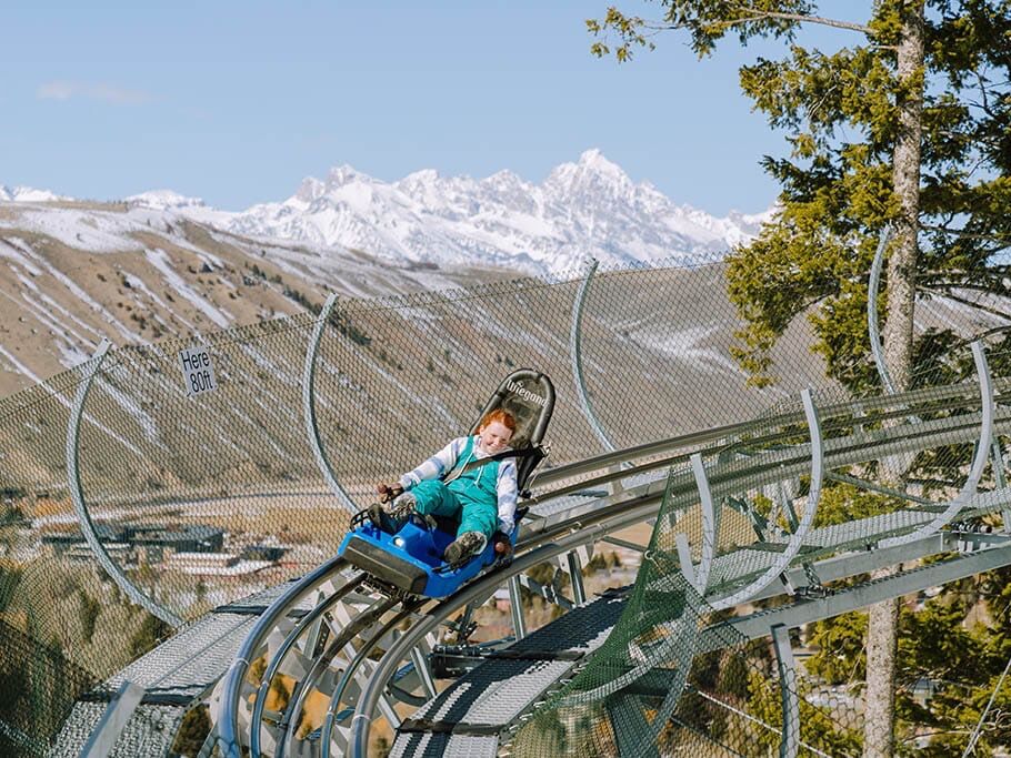 Picture of Cowboy Coaster at Snow King Mountain