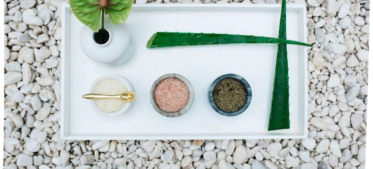 Picture of Aloe Vera Workshop