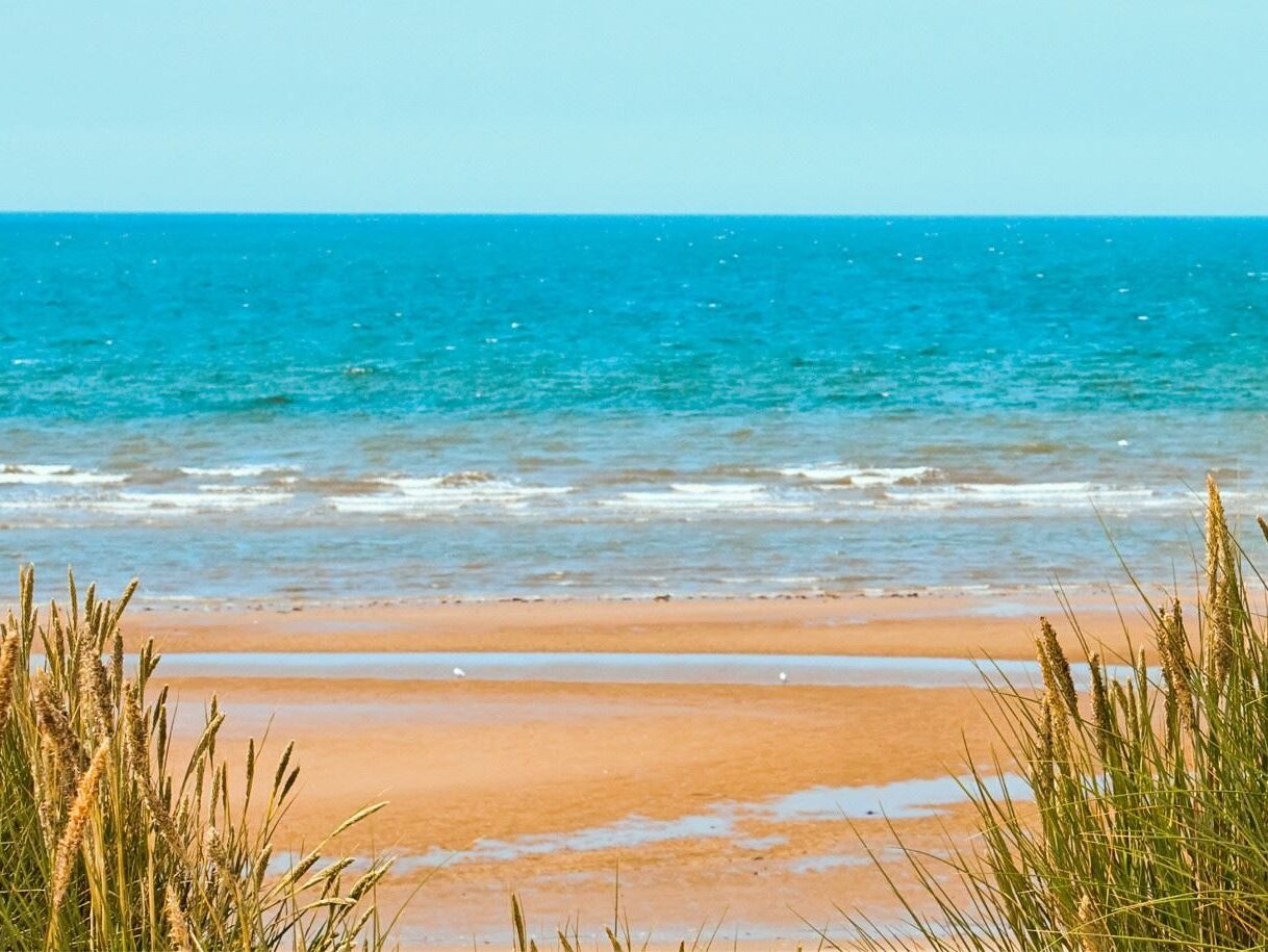 Picture of Toronita Avenue Beach Park