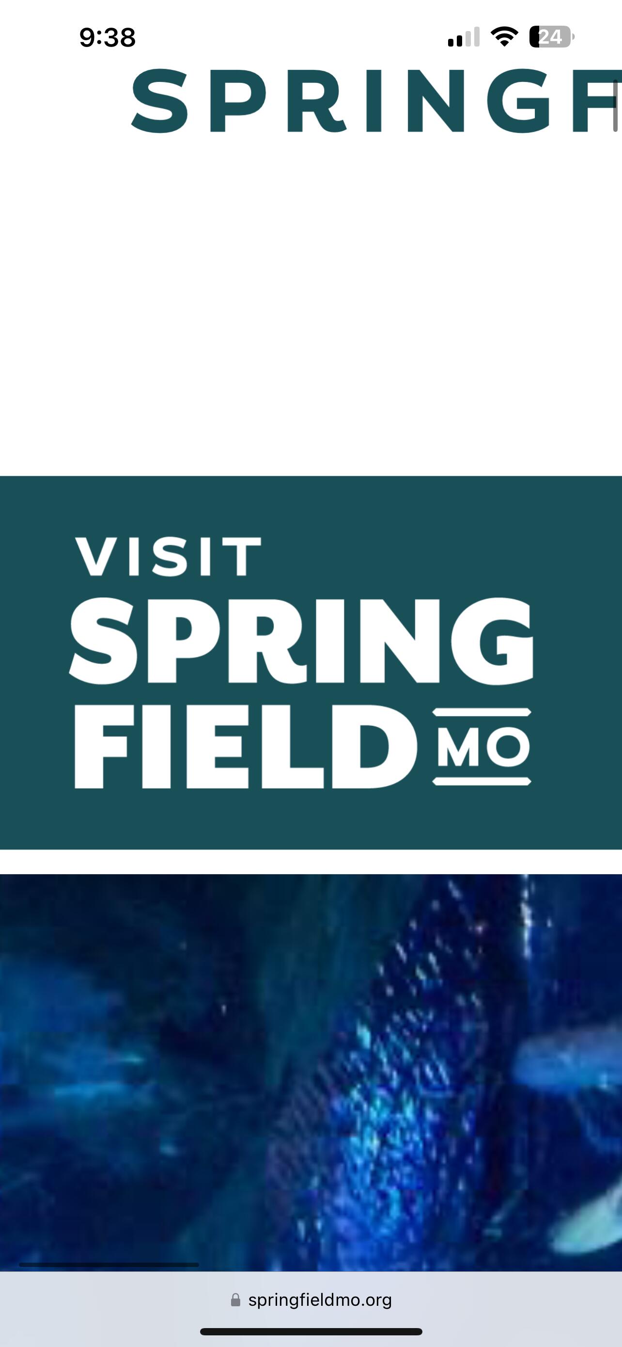 Picture of Things To Do In Springfield