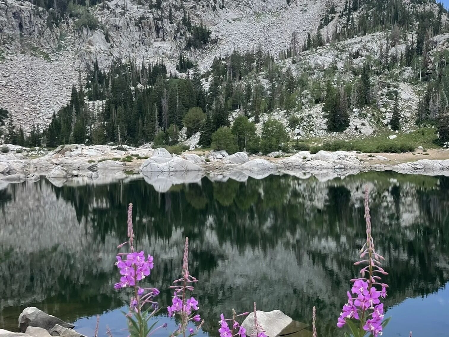 Picture of Hiking at Brighton