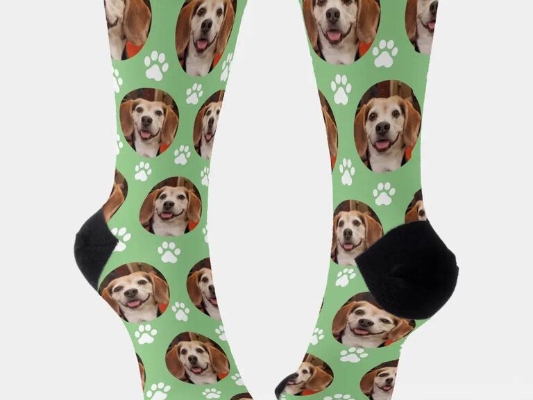 Pet socks