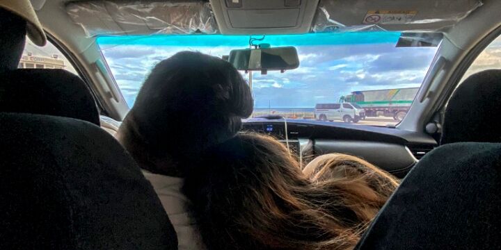 Thea & Jed Home Page Banner