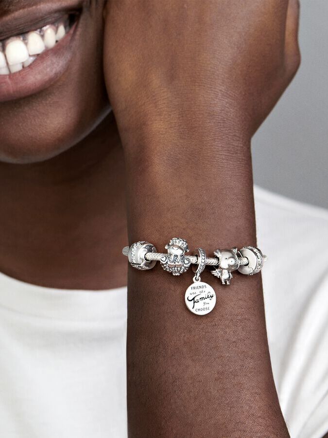 Friends Are Family Dangle Charm