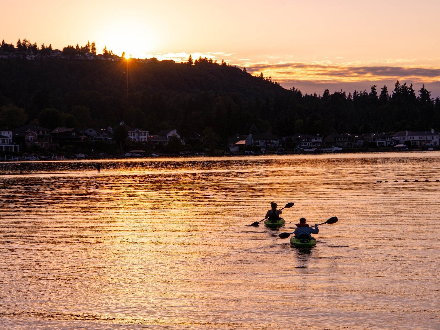 Picture of Lake Sammamish State Park