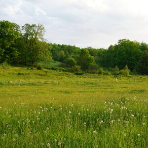 Gallery Photo 25