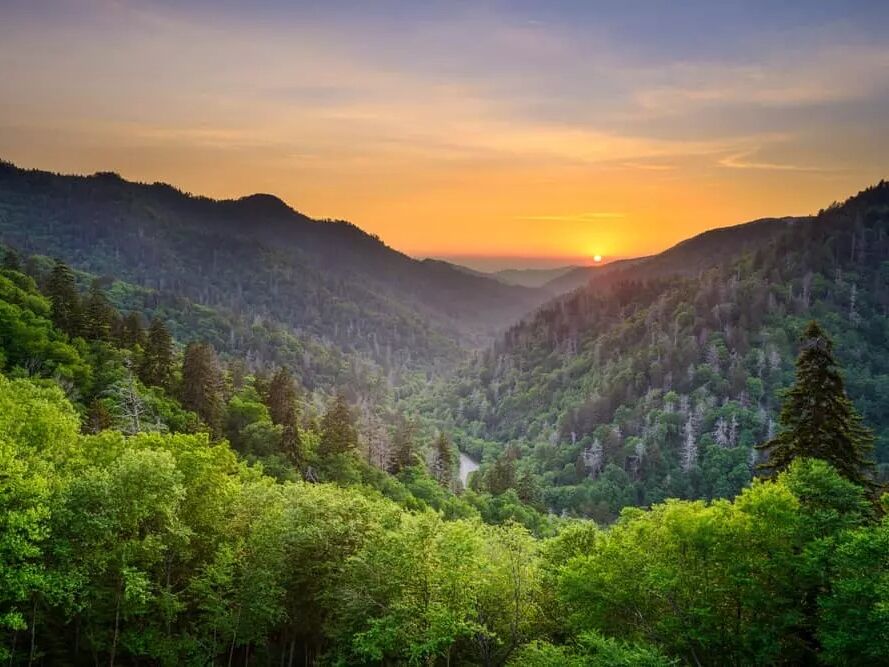 Picture of Great Smoky Mountain National Park