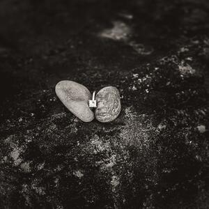 Gallery Photo 6