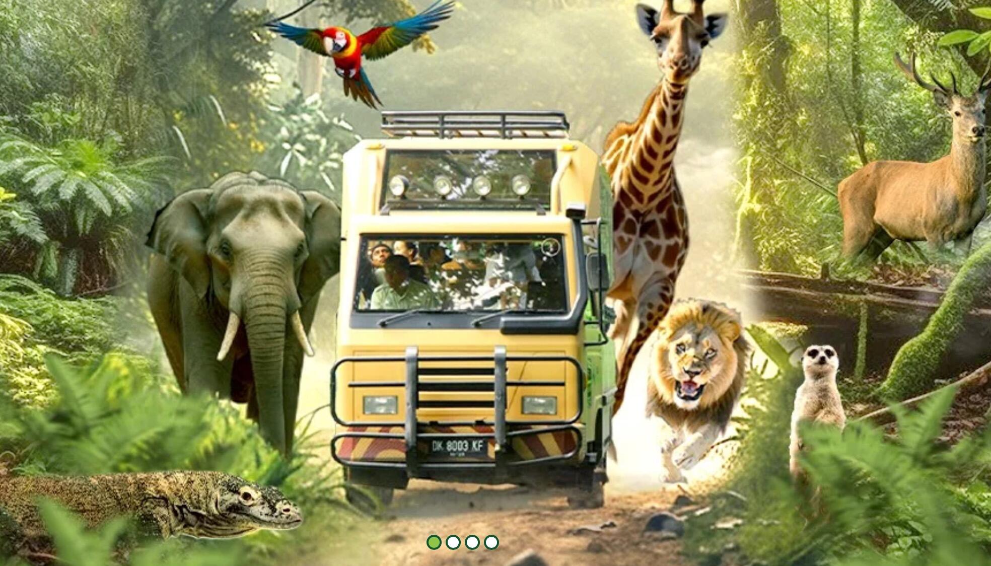 Picture of Bali Safari Zoo