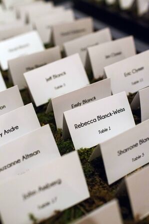 Table Seating Cards on Decorative Moss