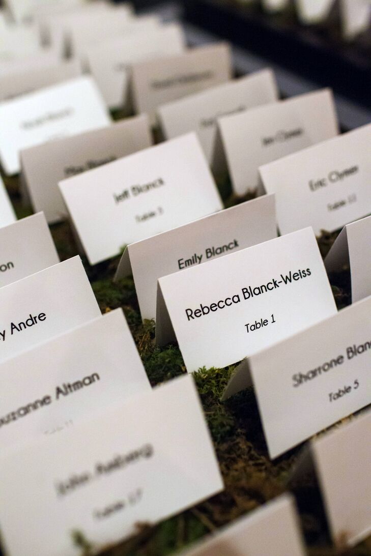 Table Seating Cards on Decorative Moss