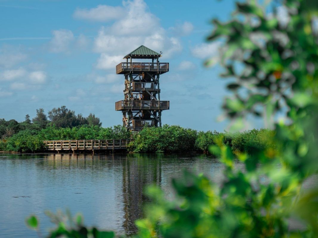 Picture of Robinson Preserve