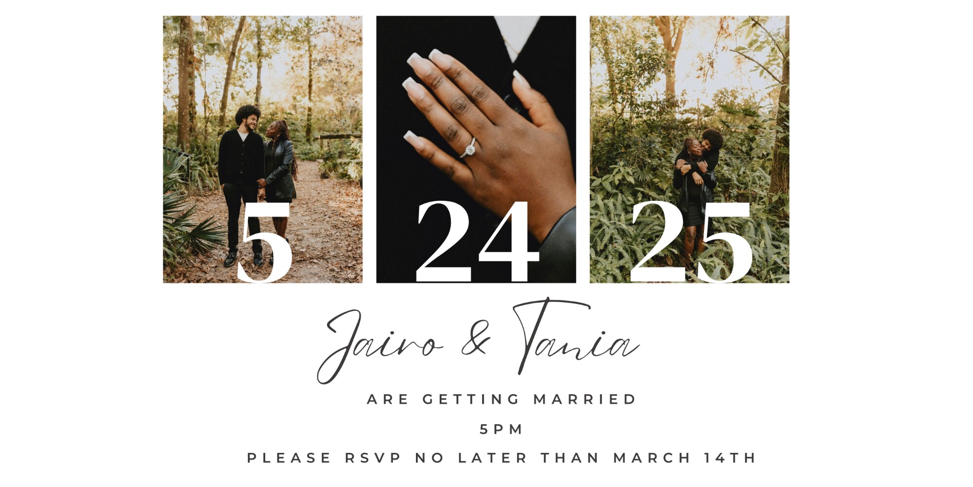 Tania & Jairo Home Page Banner
