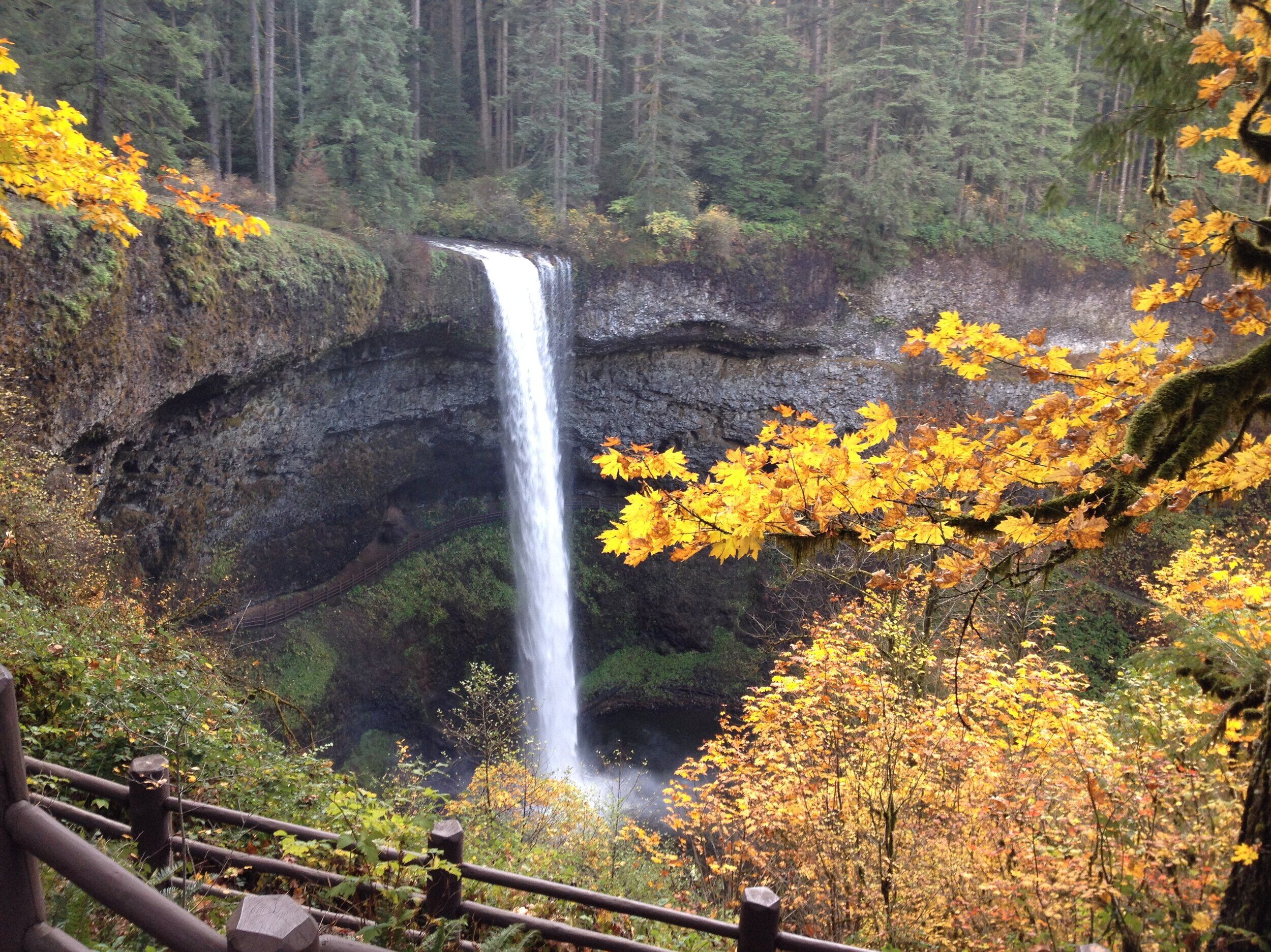 Picture of Silver Falls State Park