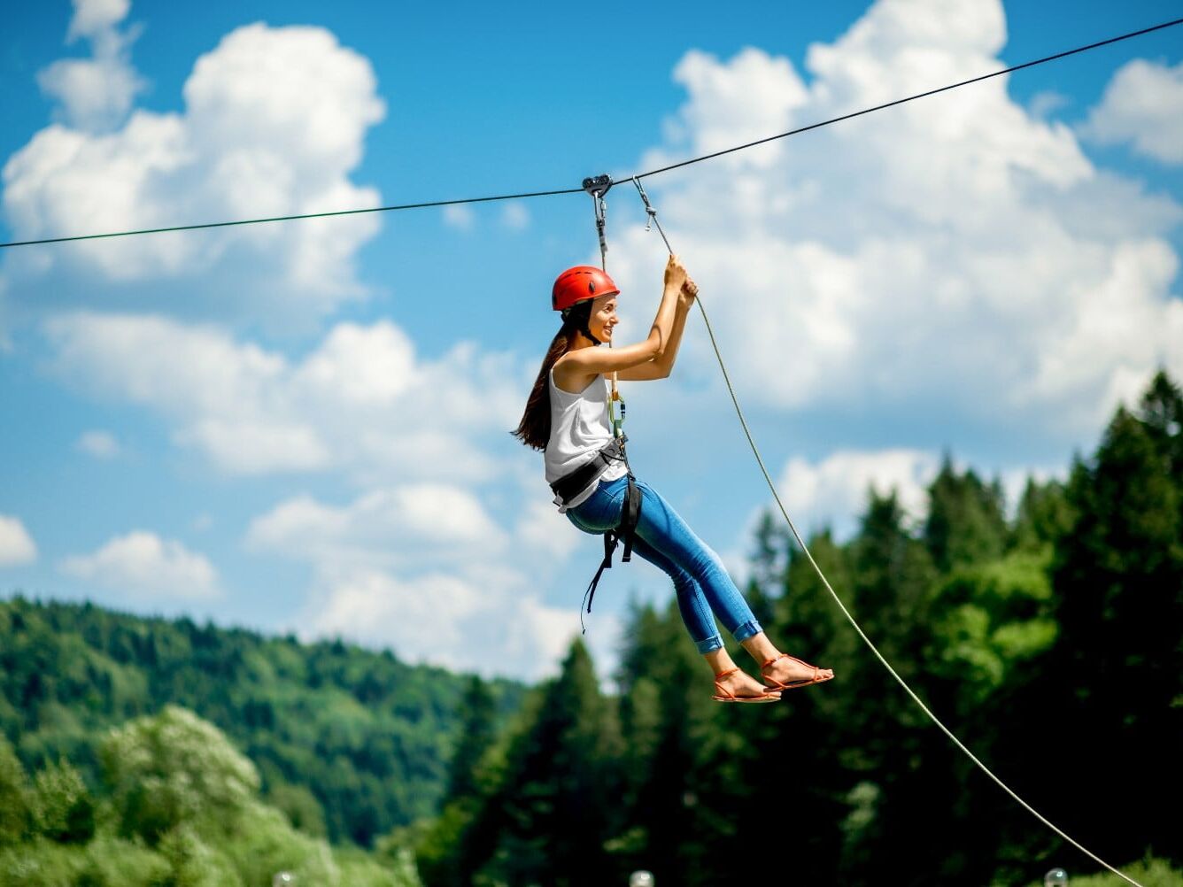 Picture of Pocono TreeVentures