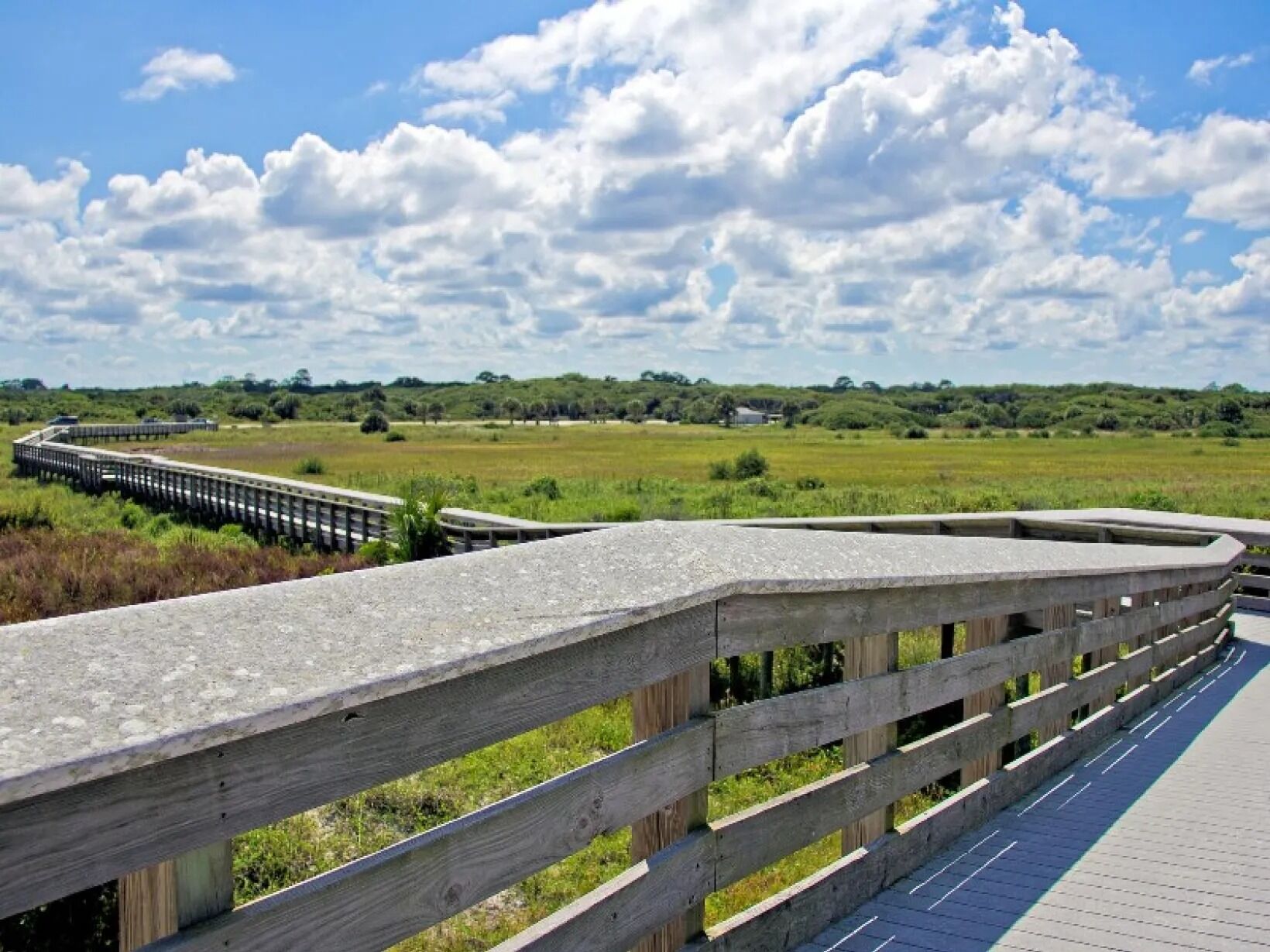 Picture of Anastasia State Park