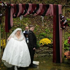 Gallery Photo 61